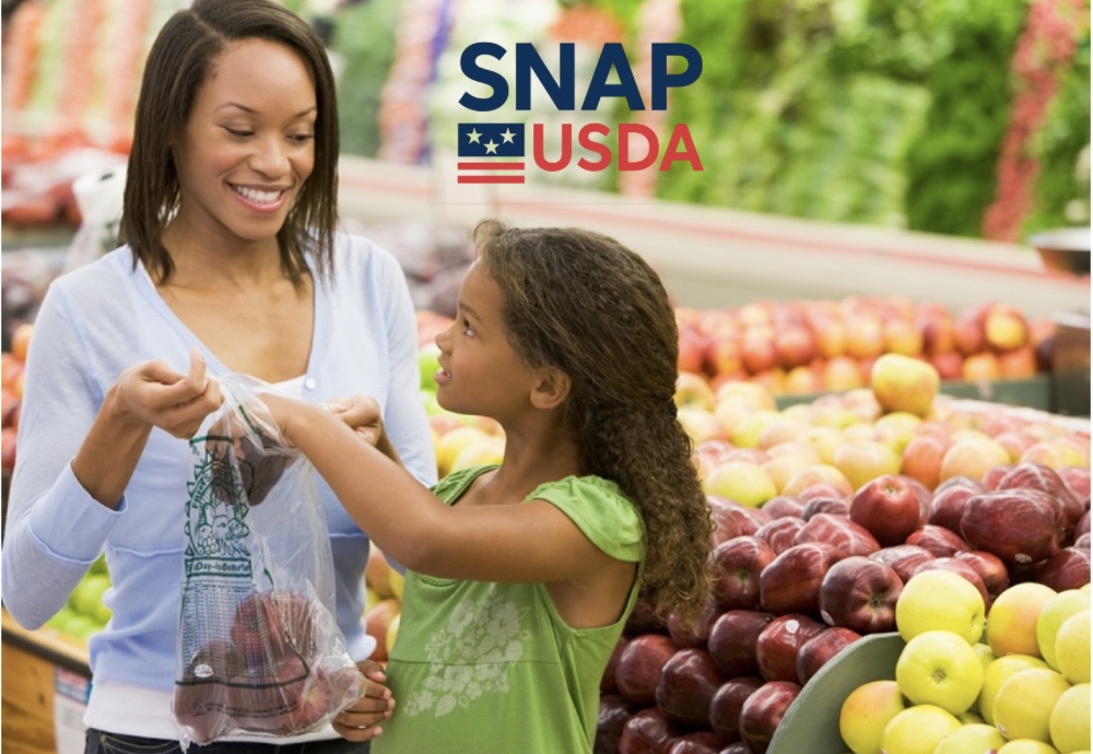 SNAP USDA Eligibility Criteria Guide 2025